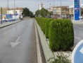 /album/fotogaleria/dsc00355-jpg/