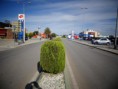 /album/fotogaleria/dsc00344-jpg/