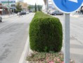 /album/fotogaleria/dsc00352-jpg/