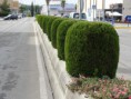 /album/fotogaleria/dsc00353-jpg/