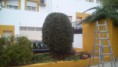 /album/poda-de-recorte/dsc-0386-jpg/